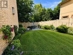 Common Garden/Patio - 