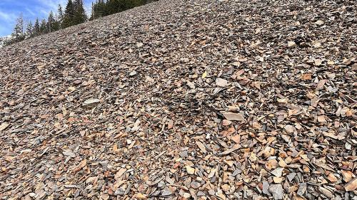 4 Gravel Pits Crown Lease, Galloway, BC 