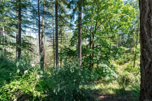 1062 River Rd, Highlands, BC 