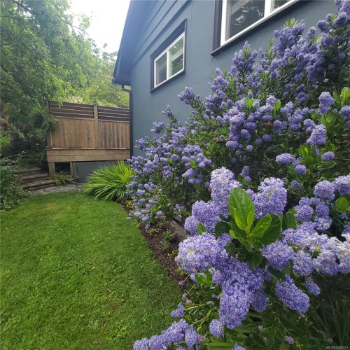 446 Davis Rd, Ladysmith, BC 