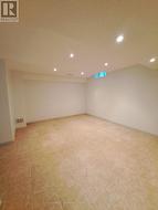 Rec Room/ Bedroom - 