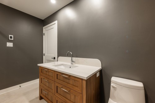 Bathroom - 201-127 Mtée Des Trinitaires, Saint-Basile-Le-Grand, QC - Indoor Photo Showing Bathroom