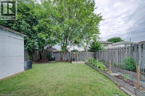 Expansive backyard featuring a manicured lawn, established privacy fencing, mature trees, and multiple raised garden beds - 854 Elgin Street N, Cambridge, ON 