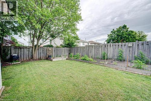 Fenced backyard with mature tree, manicured lawn, and multiple raised garden beds - 854 Elgin Street N, Cambridge, ON 