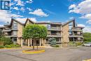 317 2305 Adelaide Street E, Saskatoon, SK 