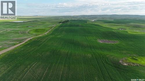 Leaman Farm, Chaplin Rm No. 164, SK 