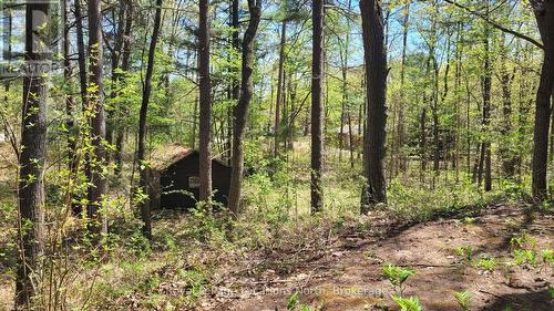 Looking to back of property - 25 Balmoral Avenue, Tiny, ON 