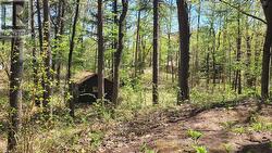 Looking to back of property - 