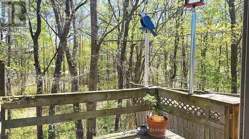 View from back deck - 25 Balmoral Avenue, Tiny, ON 