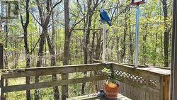 View from back deck - 