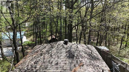 Looking to back of property - 25 Balmoral Avenue, Tiny, ON 
