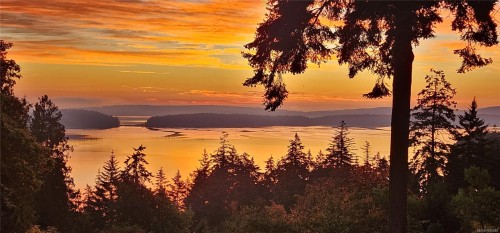 1370 Ivor Rd, Nanaimo, BC 