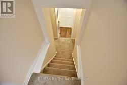 Stairs to Lower Level - 