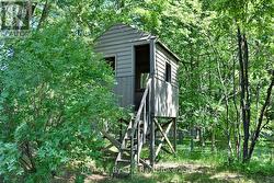 Backyard Tree House - 