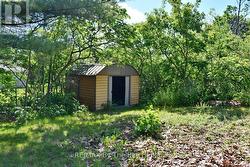 Backyard Shed - 