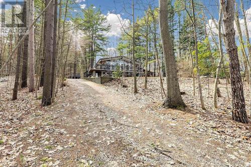 28 Timcourt Drive, Tiny, ON 