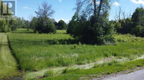 2889 Sunset Drive, Ramara, ON 