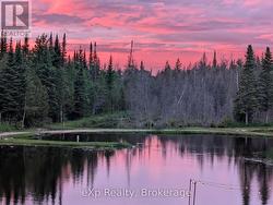 Sunset Photo - 