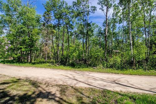 Neighbouring half acre available for sale, first rights to buyer of 68 Old Arnes Place. - 68 Old Arnes Place, Arnes, MB 