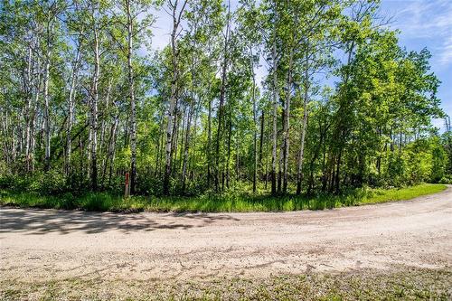 Neighbouring half acre available for sale, first rights to buyer of 68 Old Arnes Place. - 68 Old Arnes Place, Arnes, MB 