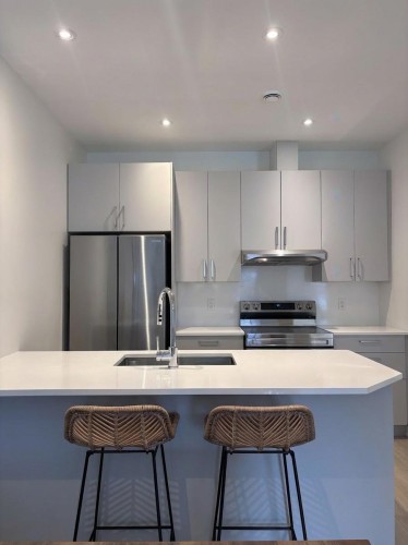 Kitchen - 202-930 Rue Charlevoix, Montréal (Le Sud-Ouest), QC 