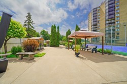 Patio - 
