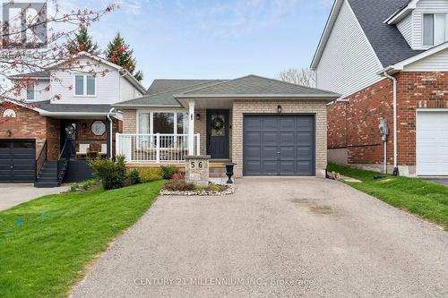56 PHEASANT COURT  Orangeville, ON L9W 4J9