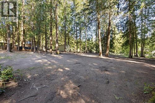 133 Springbend Road, Enderby, BC - Outdoor With View