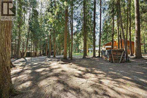 133 Springbend Road, Enderby, BC - Outdoor