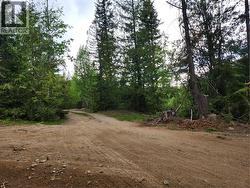 LS 13 OF SEC 8 TP 23 R 10 Leopold Road Celista, BC V0E 1M6
