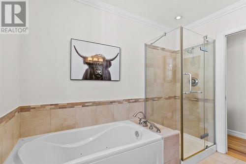 9 Brigus Place, St. John'S, NL - Indoor Photo Showing Bathroom