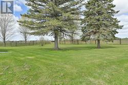 Mature trees and little yard maintenance - 