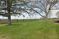 The only neighbours here are grazing cattle - 