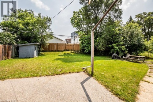Expansive grassy yard featuring a concrete path, a storage shed, and wood fencing - 43 Sixth Avenue, Kitchener, ON - Outdoor With Backyard