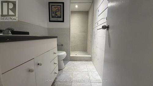 Lower Level - 135 Pineway Boulevard, Toronto, ON - Indoor Photo Showing Bathroom