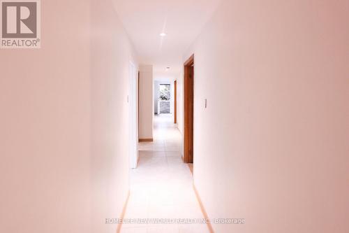 Lower Level - 135 Pineway Boulevard, Toronto, ON - 