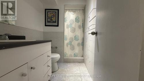 Lower Level - 135 Pineway Boulevard, Toronto, ON - Indoor Photo Showing Bathroom