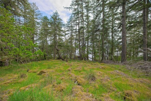 157 Menhinick Dr, Salt Spring, BC 