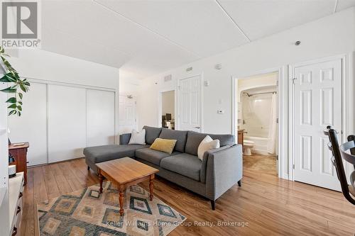 114 - 308 Watson Parkway N, Guelph (Grange Road), ON - Indoor Photo Showing Living Room
