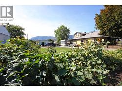 Huge Lot - 