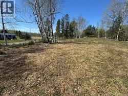 307 Doyleville Road  Lorne, NB E8G 1H3