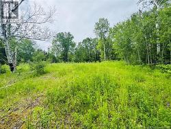 307 Doyleville Road Lorne, NB E8G 1H3