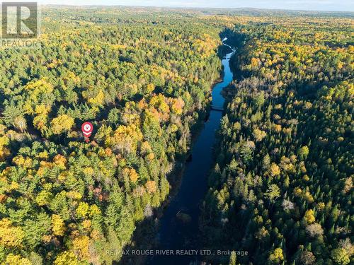 23 Egan Lane, Bancroft, ON - Outdoor With View