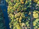 23 Egan Lane, Bancroft, ON  - Outdoor With Body Of Water With View 