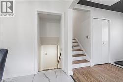 Stairs to lower lever - 