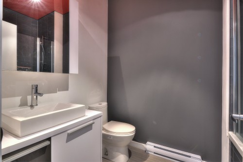Bathroom - 114-750 32E Avenue, Montréal (Lachine), QC - Indoor Photo Showing Bathroom