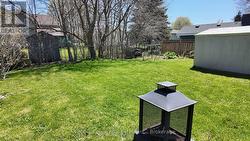Backyard - 