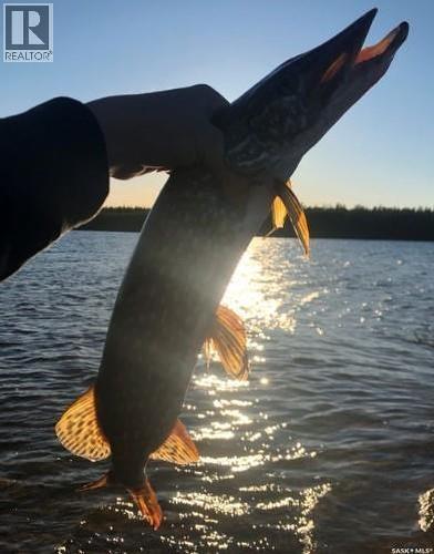 Wheeler River Lodge, Cut Knife, SK 