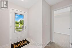 Entrance door - 