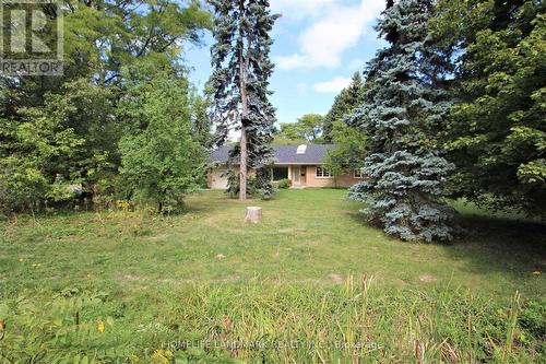 3 Elmbank Road, Vaughan, ON - Outdoor